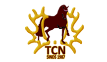 tcn2013